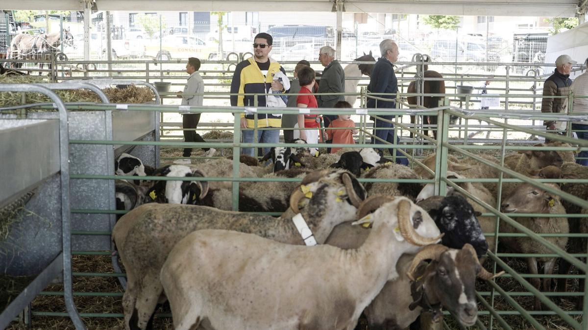 Les millors imatges de la Fira de Sant Isidre