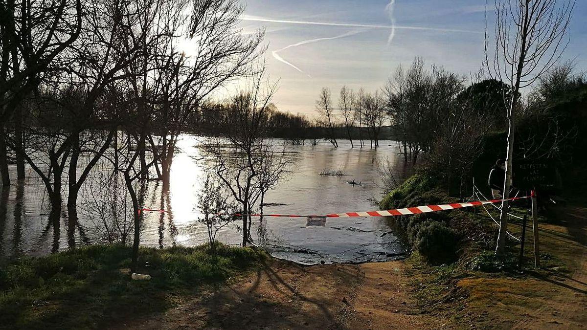 Reciente crecida del río Duero a su paso por Toro