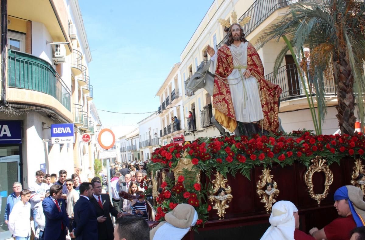 Domingo de Ramos en la provincia