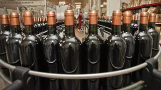 Los vinos de Alicante cierran su cuenta en la red social X
