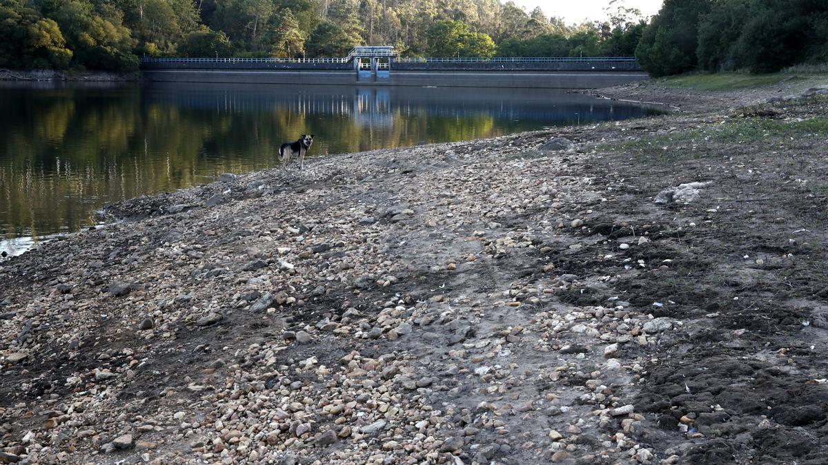 Vista general del estado que presenta el embalse de Zamáns