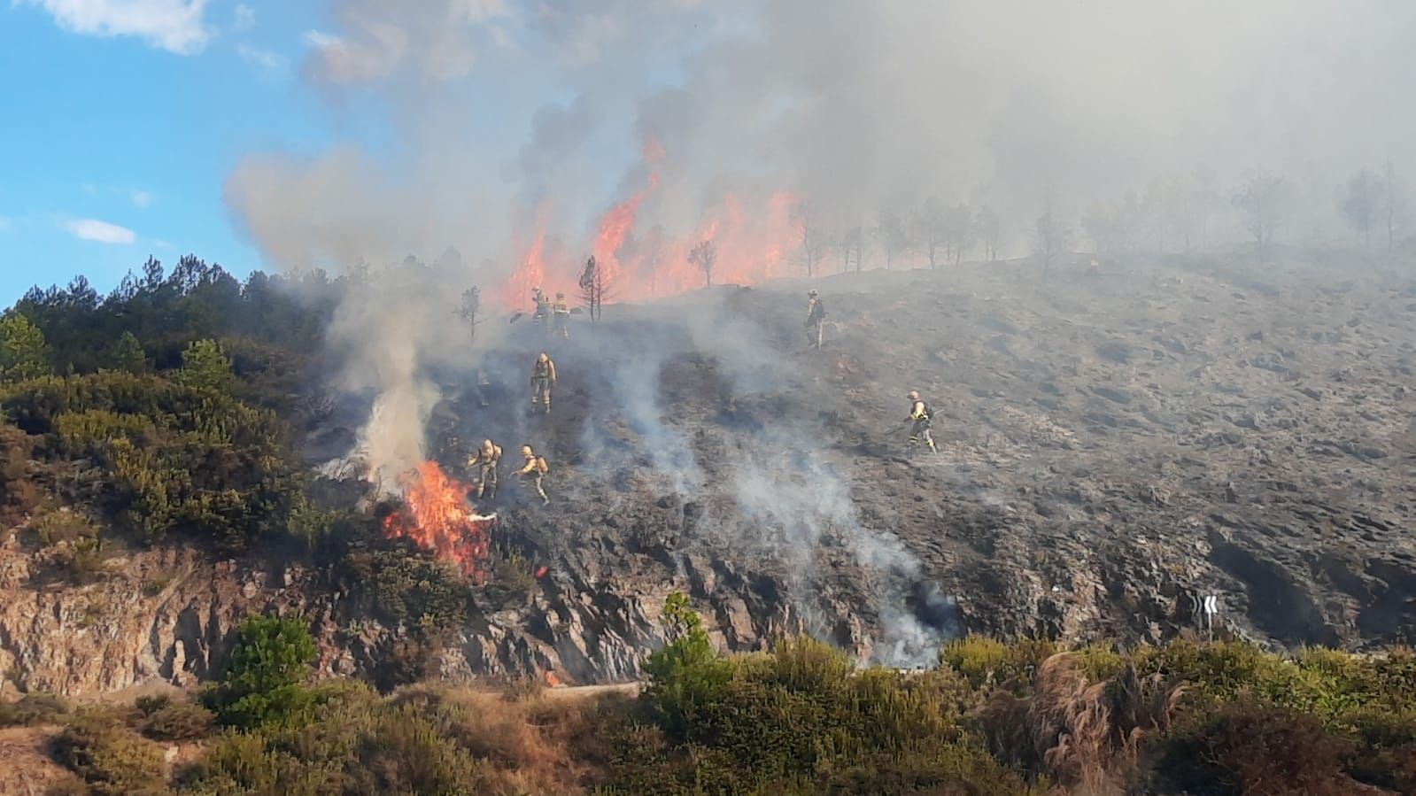 GALERÍA | El incendio en Pedralba de la Pradería, en imágenes