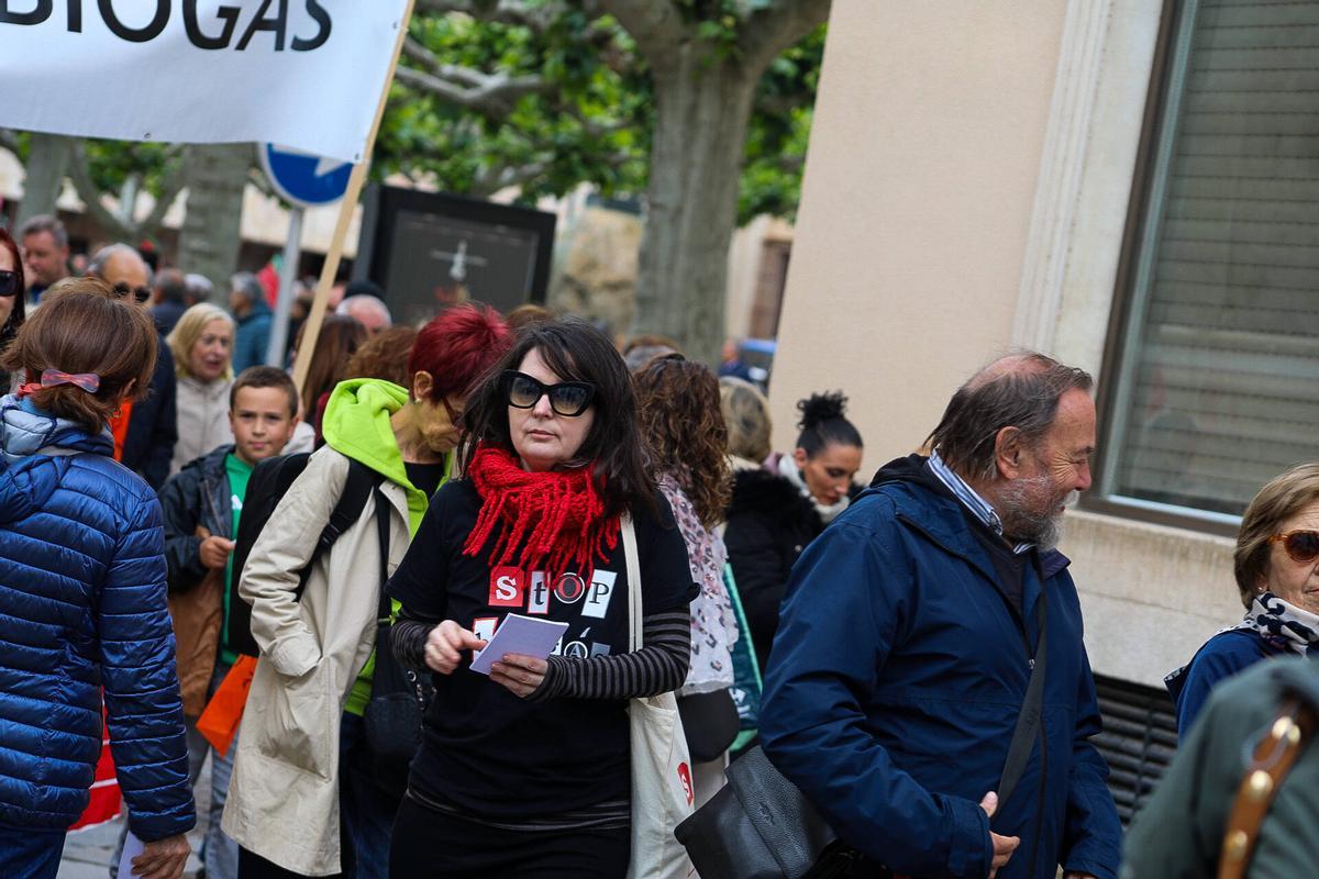 Ni molinos ni biogás: la oposición al nuevo mapa energético convoca a un millar de zamoranos en la capital