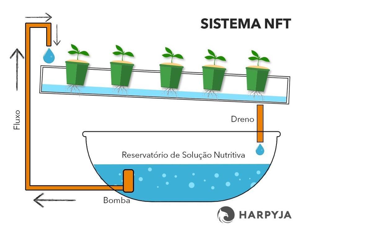 Sistema más habitual