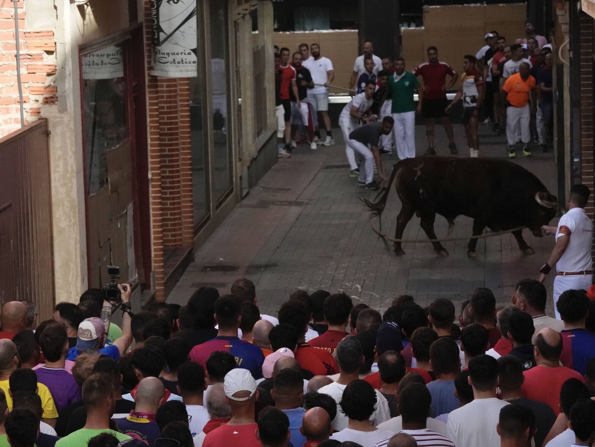 Las imágenes más impactantes del torito del alba de Benavente