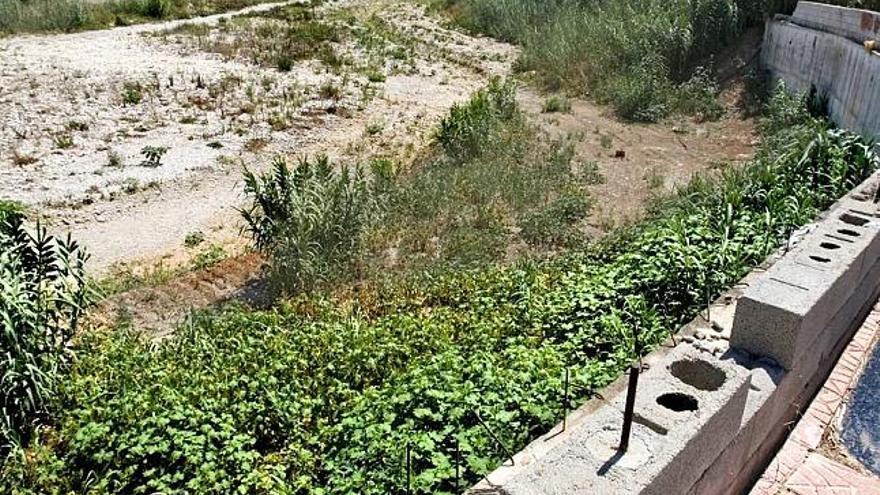 El lugar escogido para construir el puerto fluvial en el río Girona no lleva agua en el mes de agosto