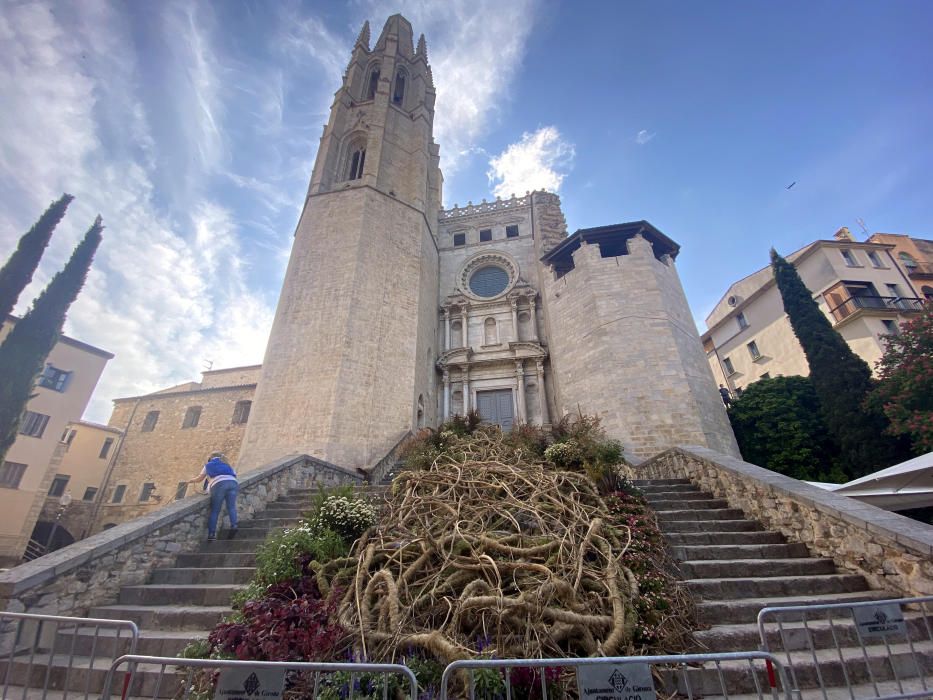 Girona ultima els muntatges del primer Temps de Flors adaptat a la pandèmia