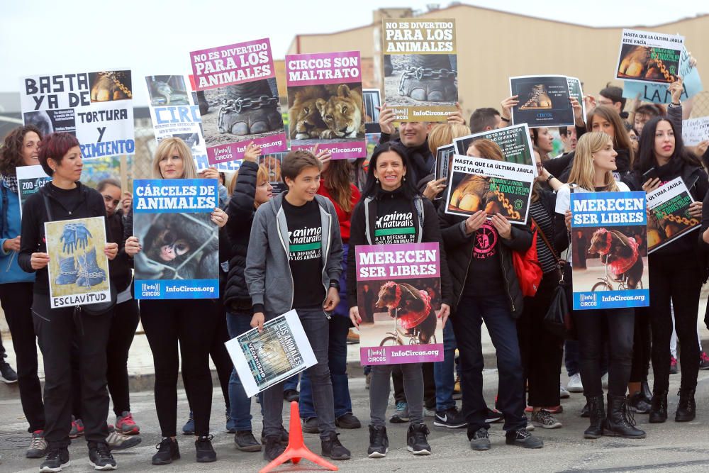 Protesta contra un circo con animales en Alfafar