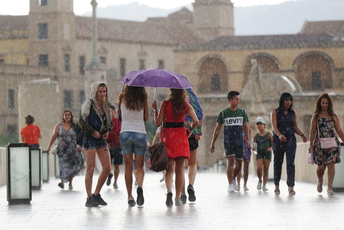 Llegan las primeras lluvias a Córdoba tras 123 días sin llover.