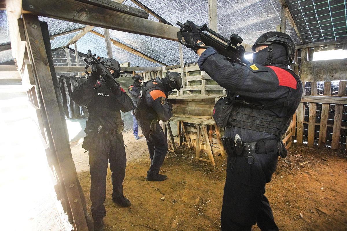 Així treballa i entrena l'ARRO dels Mossos de la regió policial de Girona