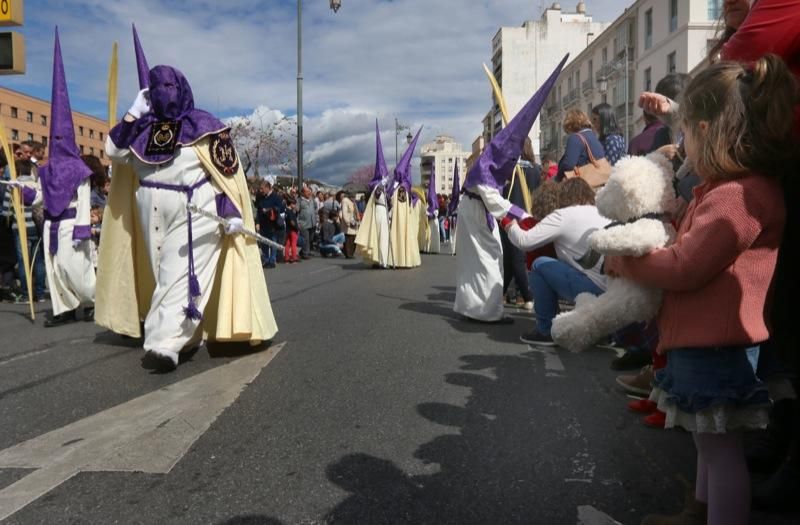 Domingo de Ramos de 2016 | Pollinica