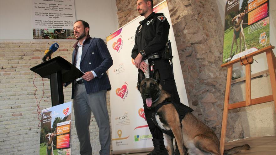 Las mascotas ‘toman’ el Castillo de Lorca