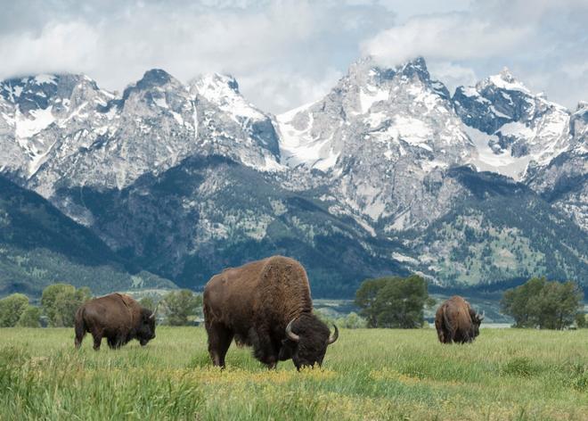 Grand Teton, Estados Unidos, ciudades que superan las expectativas