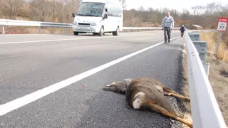 GRÁFICO | Estas son las carreteras más peligrosas de Zamora