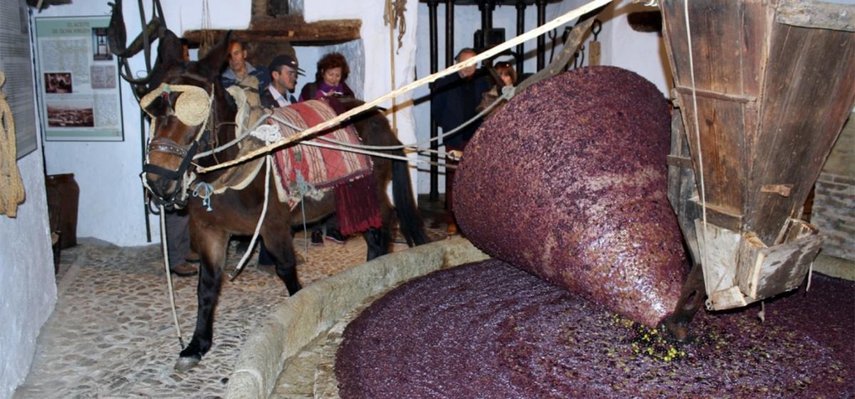 Riogordo y la Fiesta de la Molienda.