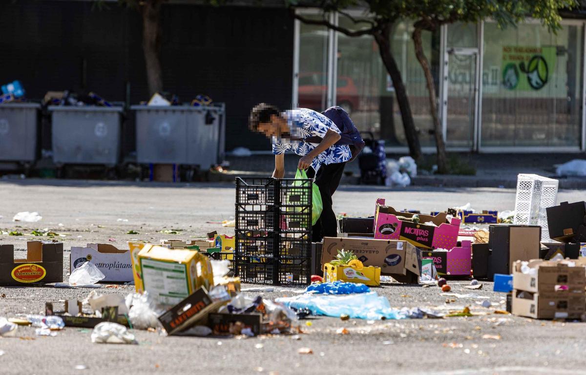 _MGL6970.jpg _MGL6970.jpg