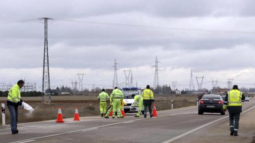 Agentes de la Guardia Civil en el lugar del siniestro.