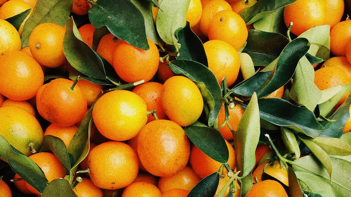 Esta receta no requiere pelar las naranjas. Se trituran enteras junto con el resto de ingredientes del bizcocho