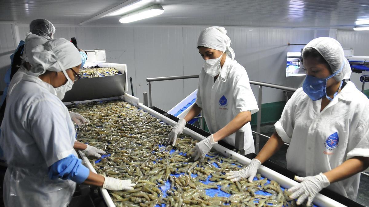 Trabajadoras en la factoría de Camanica, en la región nicaragüense de Chinandega