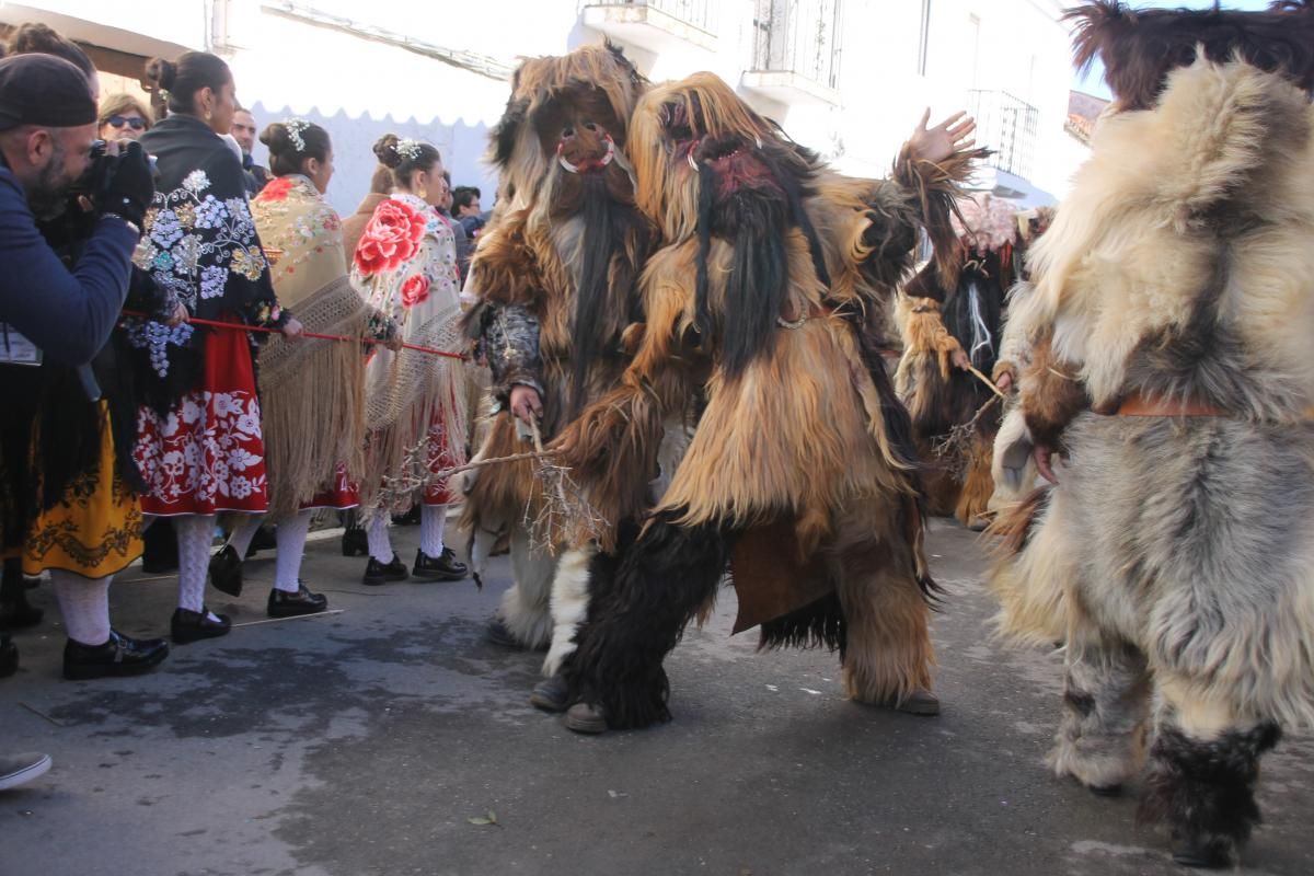 Las Carantoñas de Acehúche 2019