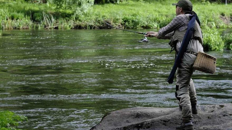 Un pescador trata de sacar al &quot;rey del río&quot; en el coto de Ximonde. // Bernabé/Javier Lalín