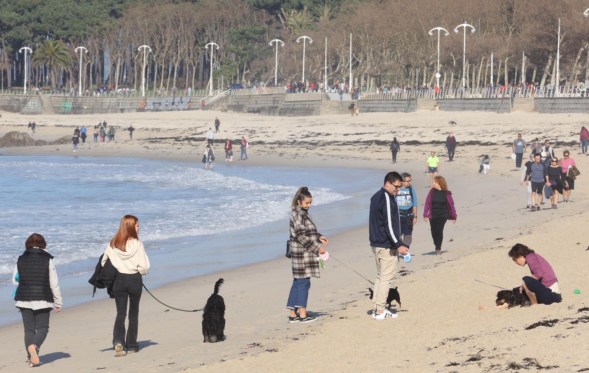 Vigueses y mascotas disfrutan del buen tiempo en Samil