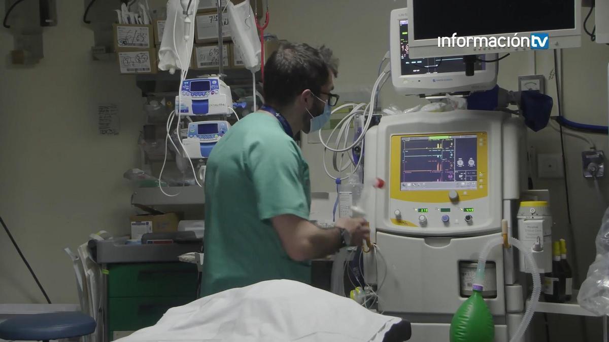 El Hospital Doctor Balmis realiza 220 trasplantes en 2025 y refuerza su liderazgo en Alicante