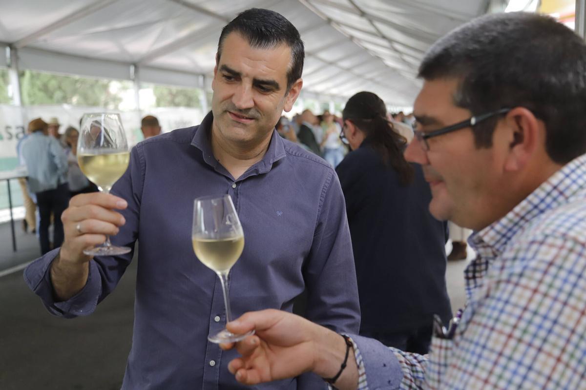 Presentaciones, catas y proyectos como Patios de Bodega marcan el viernes