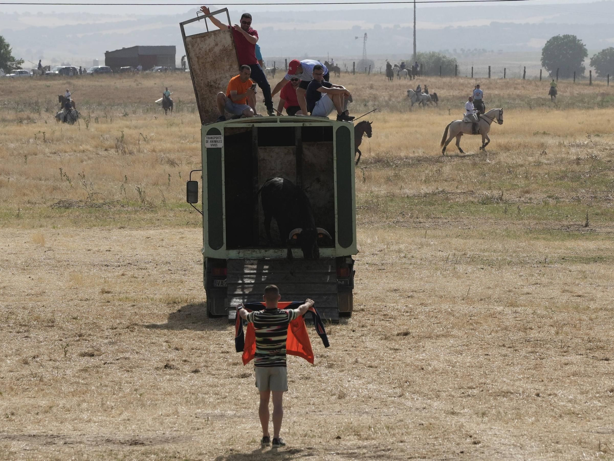 GALERÍA | Multitudinario encierro en la pradera de Guarrate
