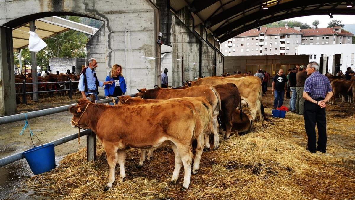 El concurso del año pasado.