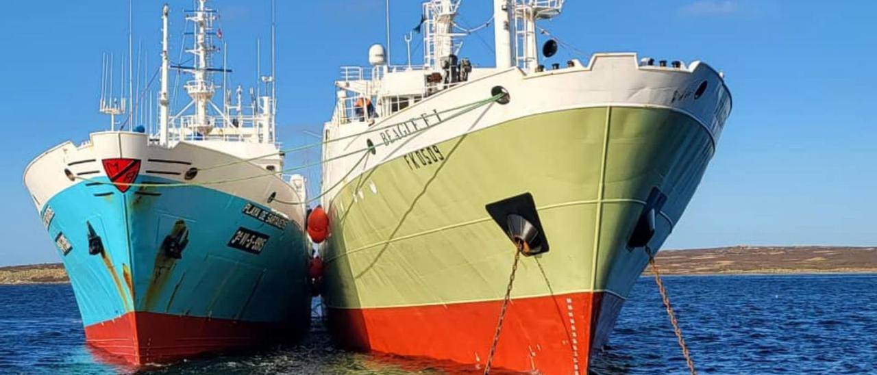 Barcos gallegos
fondeados 
en Malvinas.  | // CRAIG THAIN