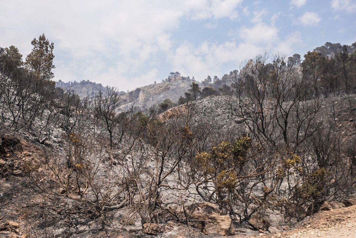 Fuego en Baix Ebre. Los bomberos trabajan en el incendio forestal en Paüls, Tarragona, este martes.