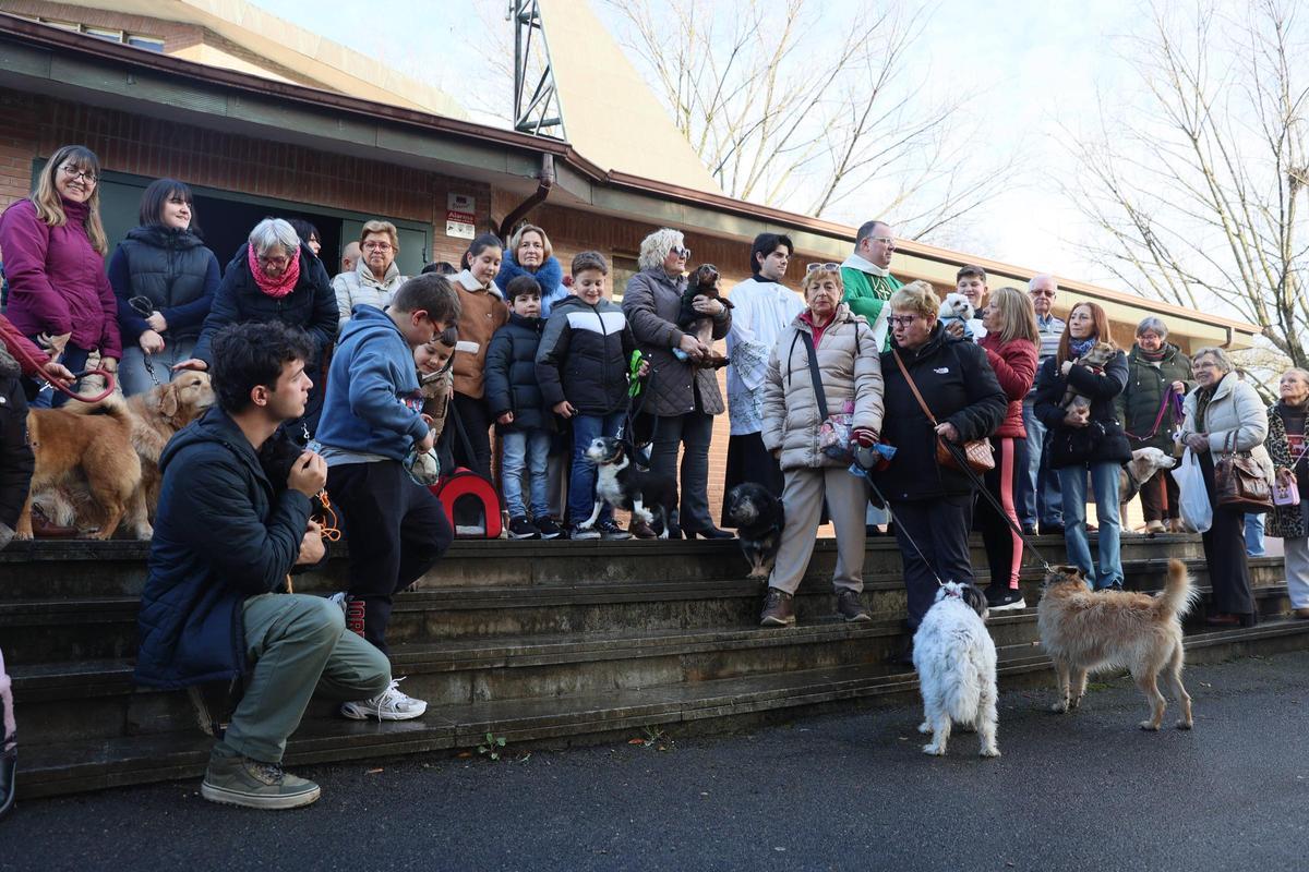 La bendición de animales en La Magdalena, en imágenes