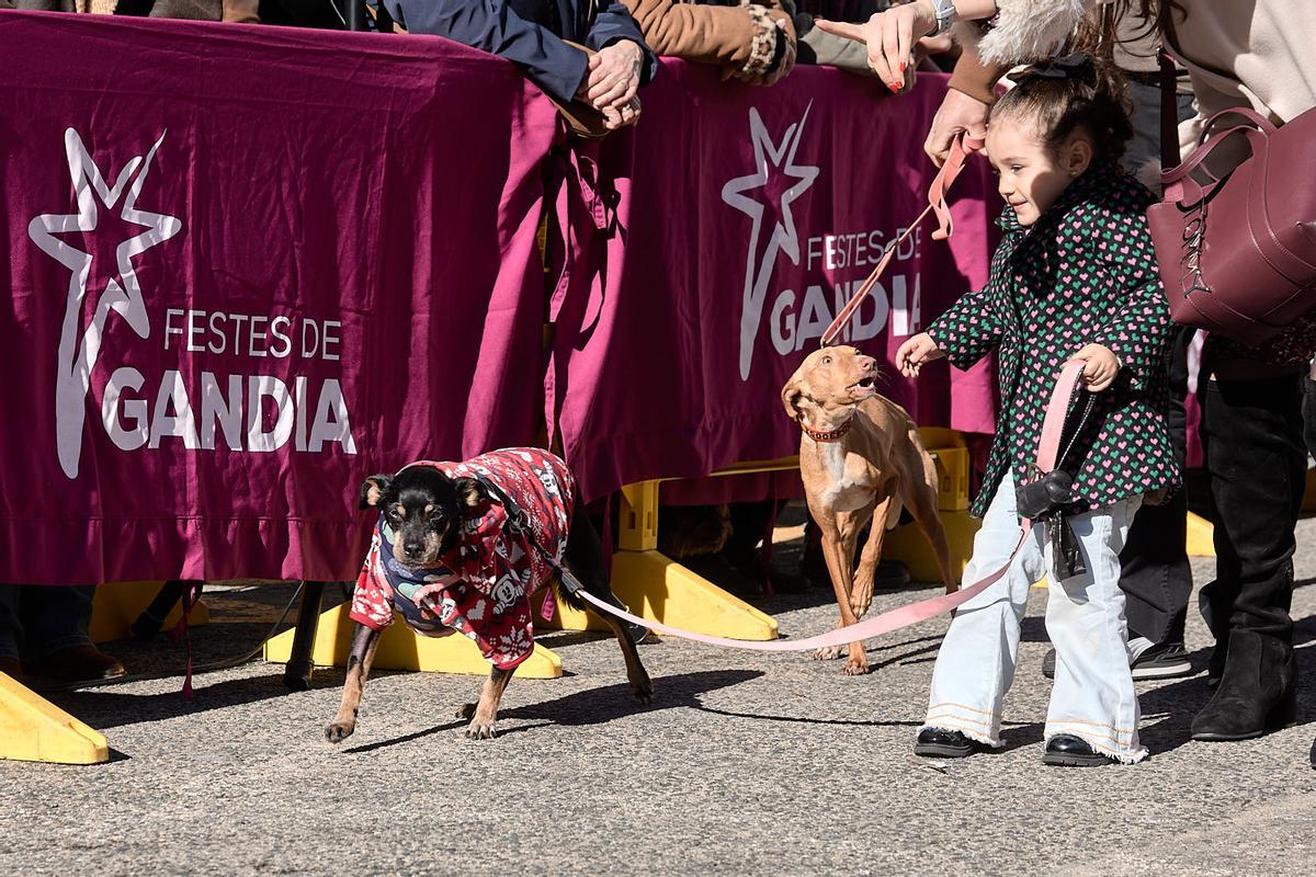 Gran fin de semana en el Porrat de Beniopa con las calles llenas de gente Gran fin de semana en el Porrat de Beniopa con las calles llenas de gente