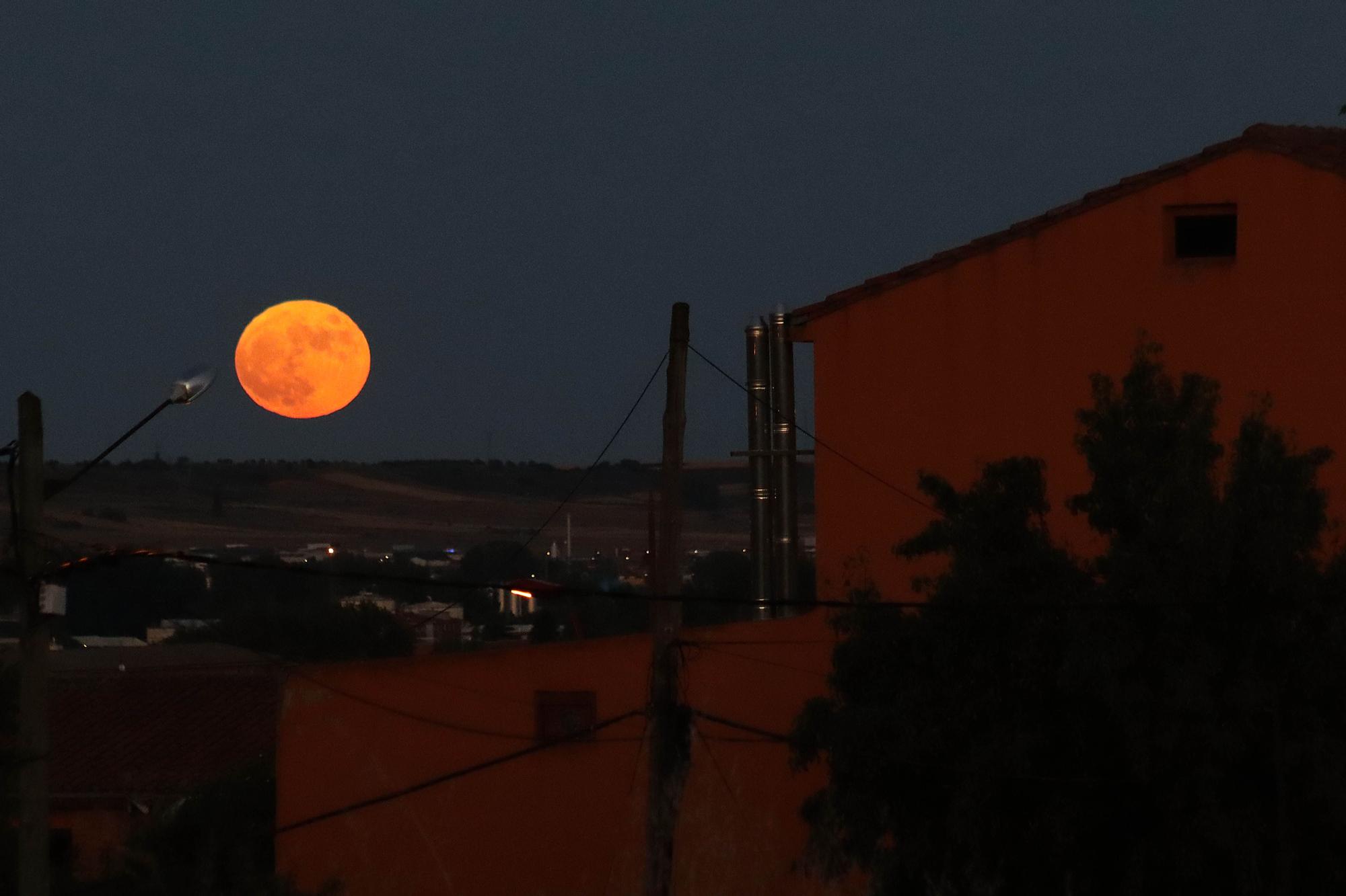 Galería: Así se vio la luna de fresa en Castilla y León