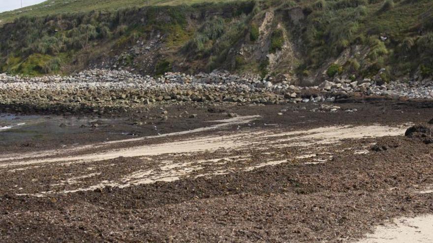 Protestas por el estado de la playa de Bens