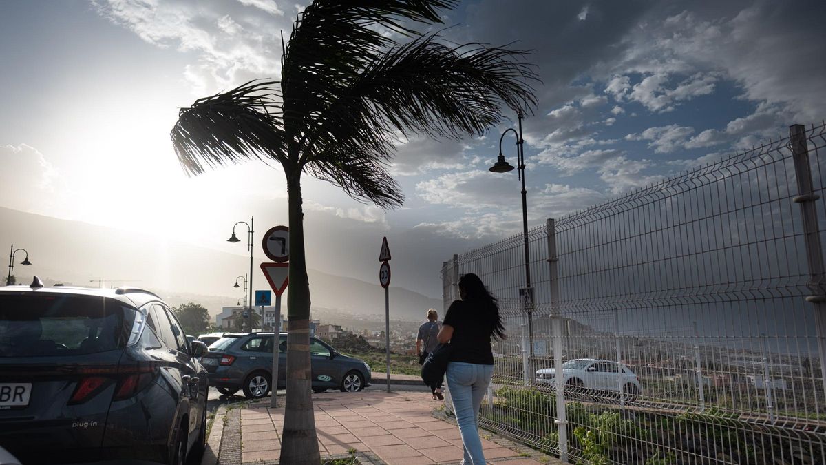 Lluvias y fuertes vientos en Tenerife (20/11/2024)