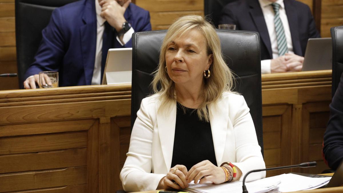 Sara Álvarez Rouco, en una sesión plenaria.