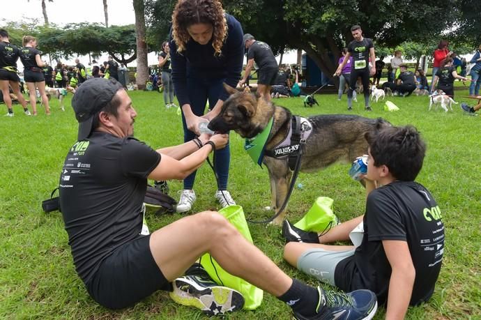 14-12-2019 LAS PALMAS DE GRAN CANARIA. Carrera de perros Can We Run, en el Parque Romano. Fotógrafo: ANDRES CRUZ  | 14/12/2019 | Fotógrafo: Andrés Cruz