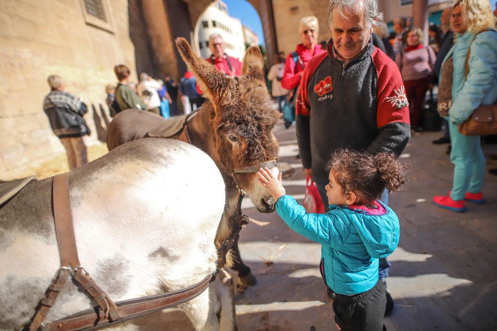 Orihuela rescata su pasado en su tradicional Mercado Medieval