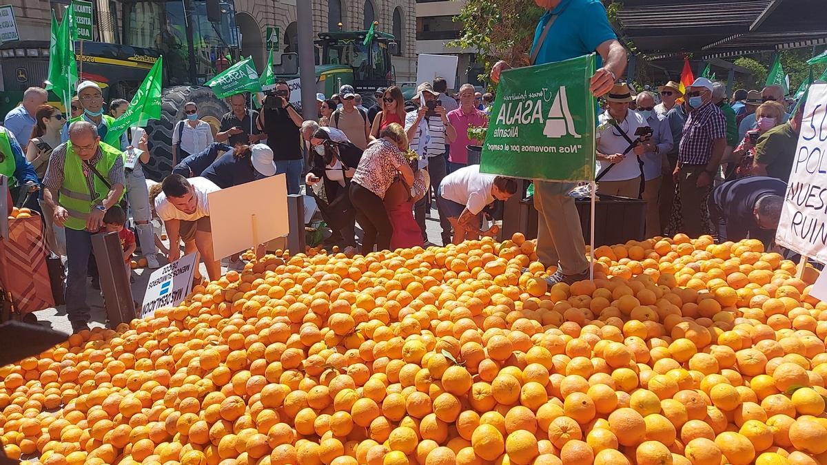 Manifestantes sobre las cinco toneladas de naranjas sin salida que se van a regalar.