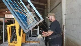 Las ovejas también se hacen las uñas