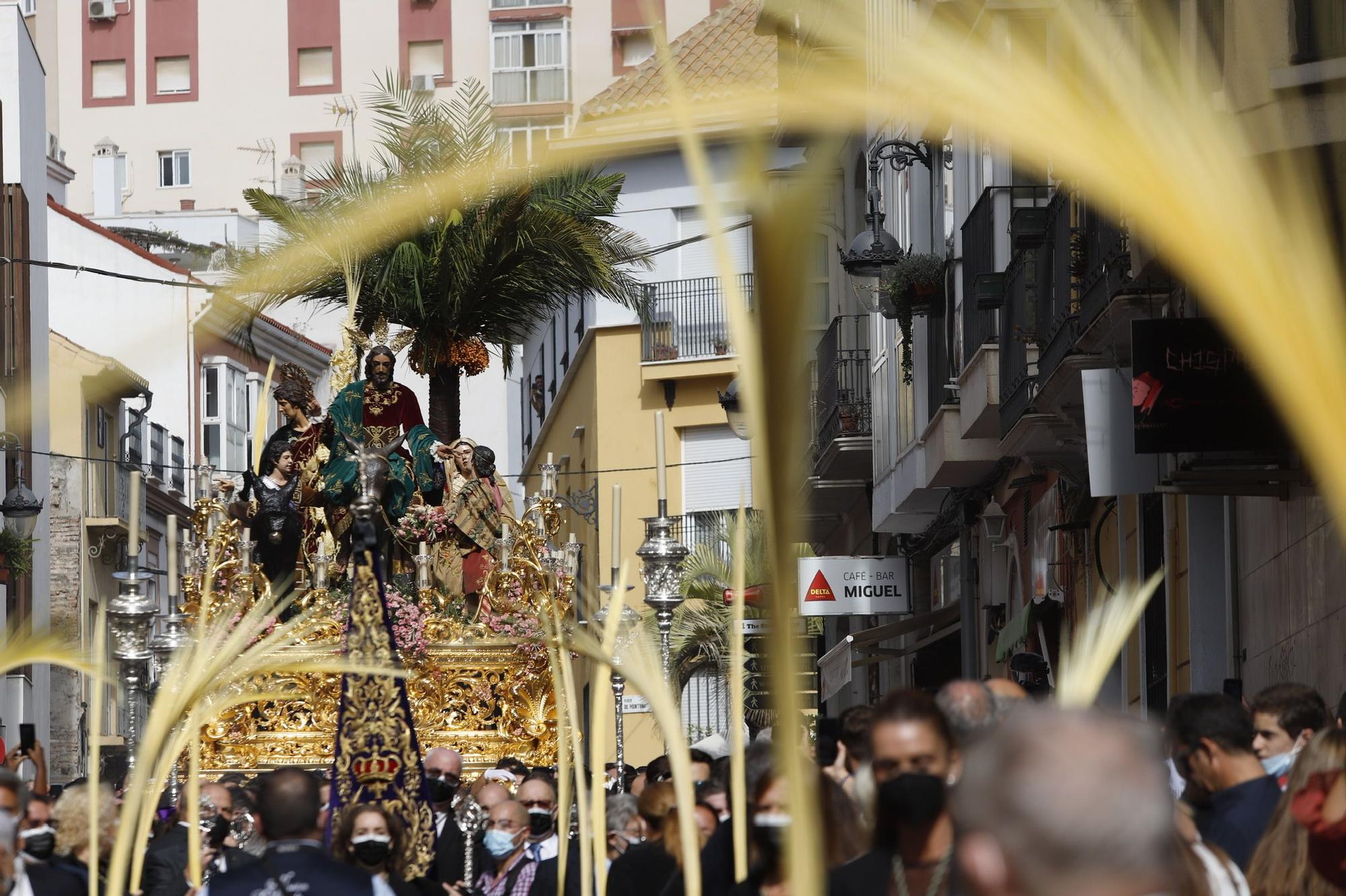 Procesión Magna de Málaga | Pollinica