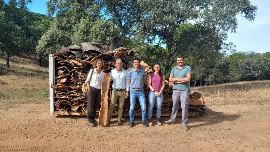 La Junta realiza el descorche en montes públicos de Belmez, Villanueva del Duque, Espiel y Hornachuelos