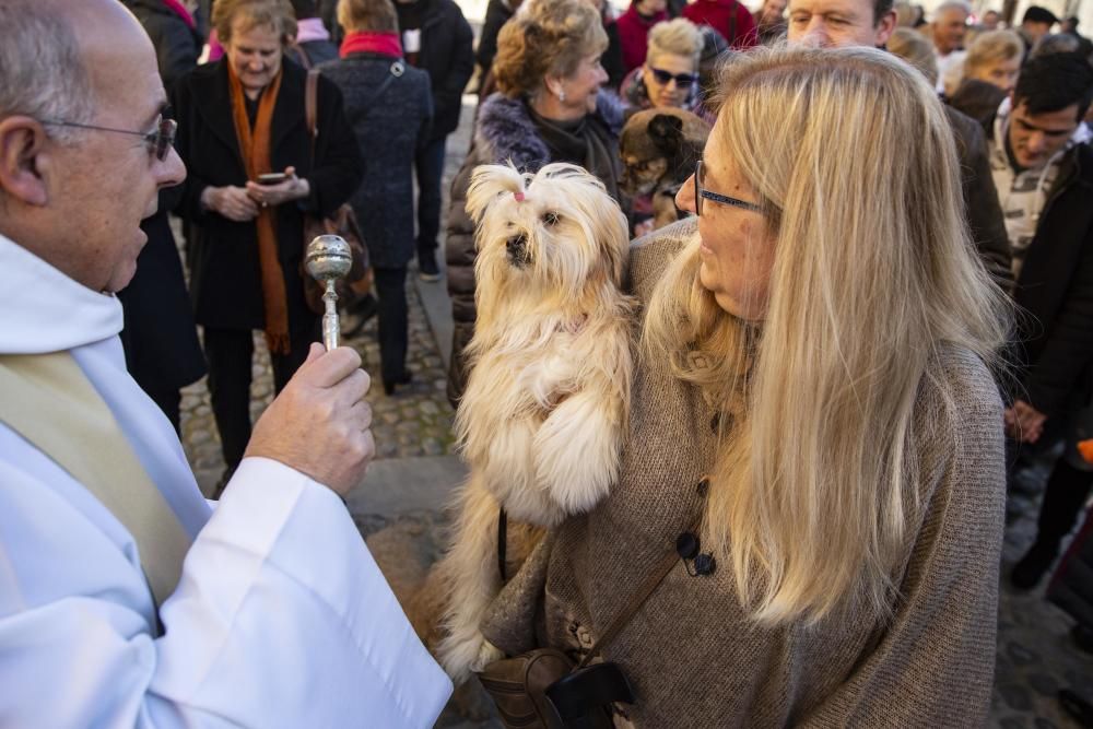 Anglès celebra la Fira de Sant Antoni