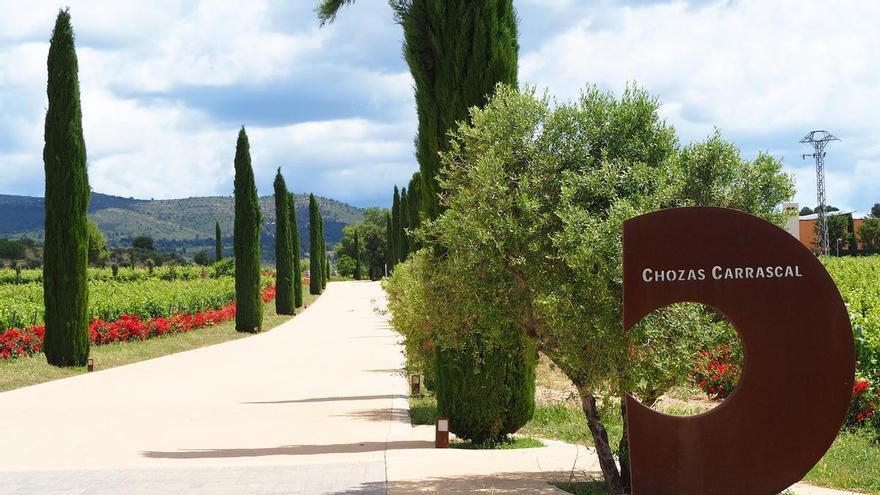 Chozas Carrascal: Los cavas que definen el paisaje de una finca única