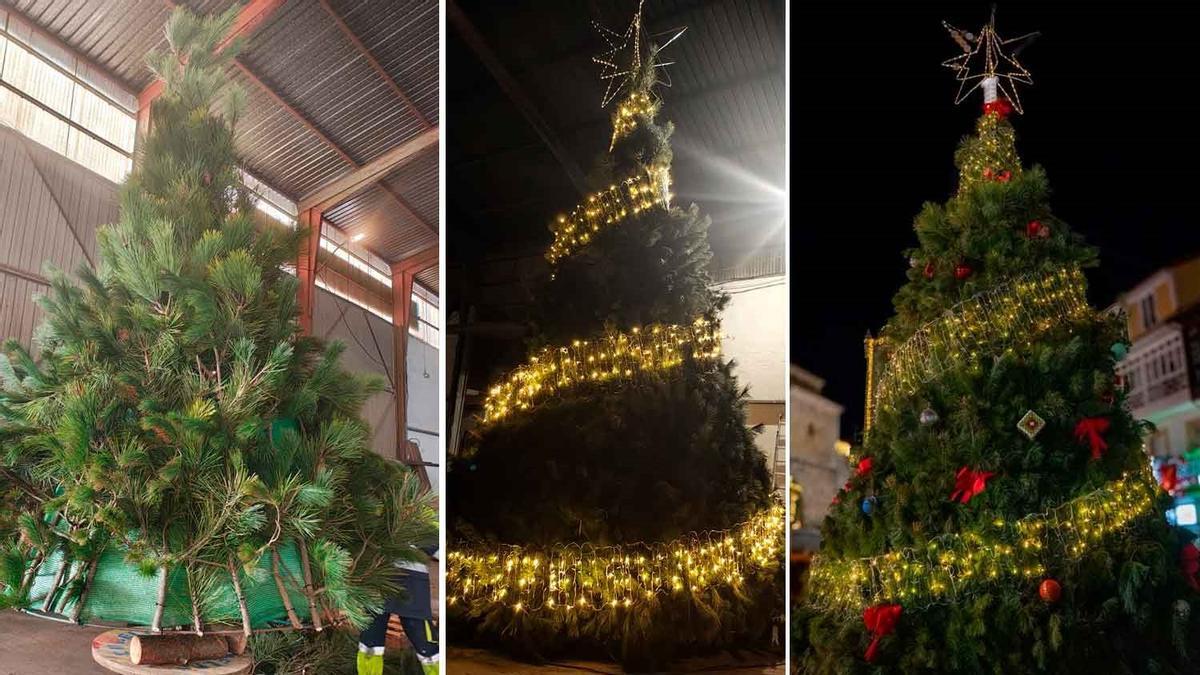 Proceso de elaboración del árbol y resultado final del mismo en la plaza del Ayuntamiento.