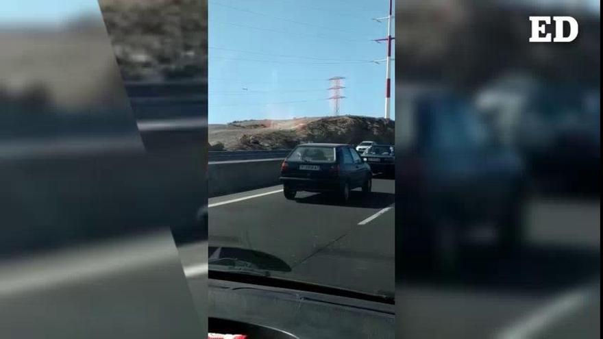 Un caballo suelto en la autopista causa revuelo en la TF-1, en Tenerife