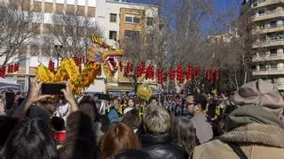 La comunidad china de Mallorca da la bienvenida al Año de la Serpiente: "Simboliza la sabiduría y la esperanza"