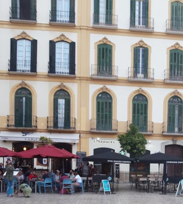 Imágenes de los árboles en la plaza de la Merced.